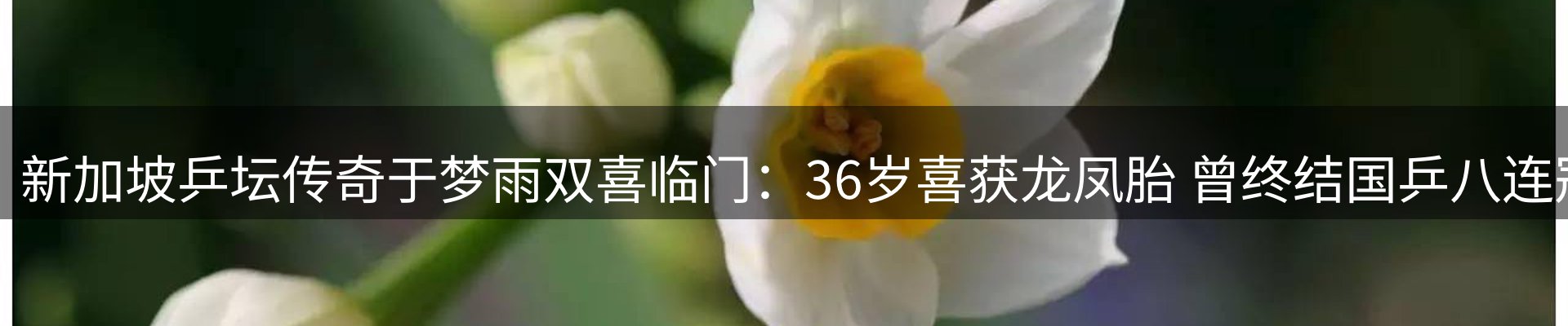 综合资讯