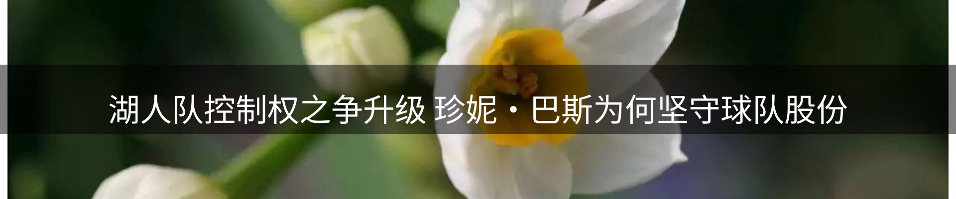 综合资讯