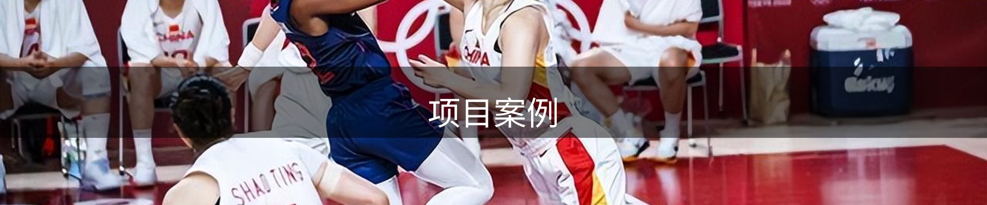 项目案例