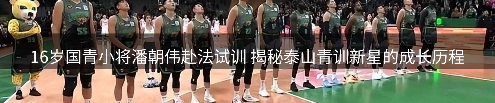 综合资讯