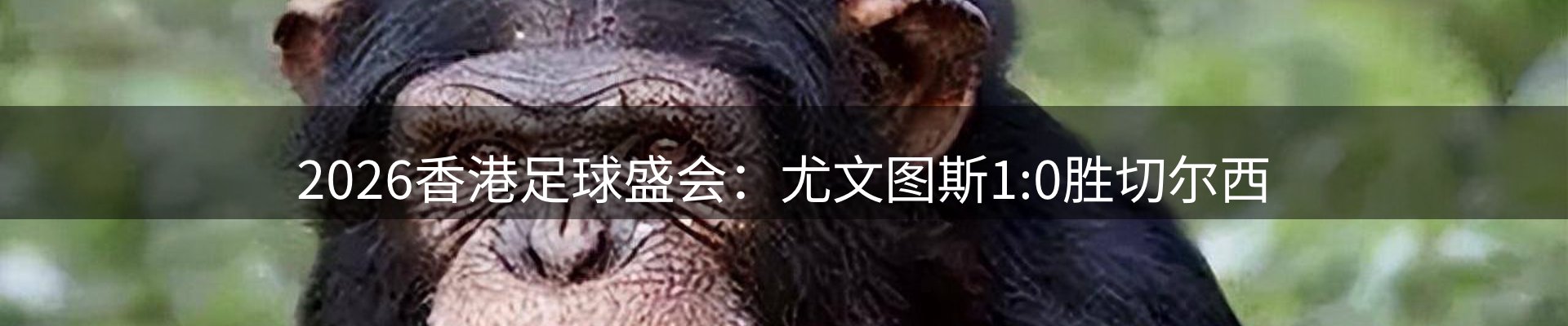 综合资讯